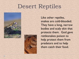 Desert Reptiles
Like other reptiles,
snakes are cold-blooded.
They have a long, narrow
bodies and scaly skin that
protects them. God gave
rattlesnakes poison to
help protect them from
predators and to help
them catch their food.

 