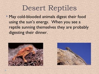 Desert Reptiles
 May

cold-blooded animals digest their food
using the sun’s energy. When you see a
reptile sunning themselves they are probably
digesting their dinner.

 