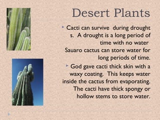 Desert Plants
Cacti can survive during drought
s. A drought is a long period of
time with no water
Sauaro cactus can store water for
long periods of time.
 God gave cacti thick skin with a
waxy coating. This keeps water
inside the cactus from evaporating.
The cacti have thick spongy or
hollow stems to store water.



 