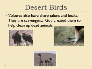 Desert animals from the bible