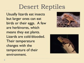 Desert animals from the bible
