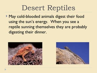 Desert animals from the bible