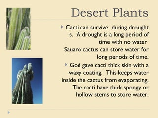 Desert animals from the bible