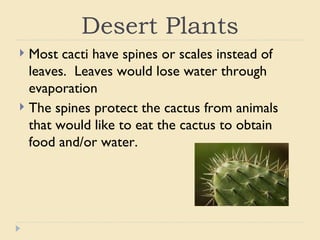 Desert animals from the bible