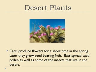 Desert animals from the bible