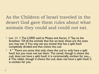 Desert animals from the bible