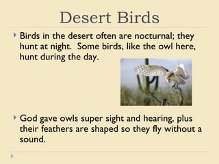 Desert animals from the bible