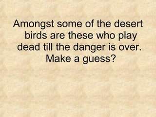 Amongst some of the desert
birds are these who play
dead till the danger is over.
Make a guess?
 