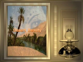 Desert  Beauty 