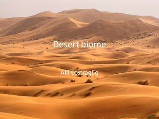 Desert biome  Alli Lostraglio  