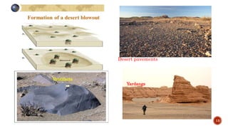 Desert pavements
Ventifacts
Yardangs
13
 