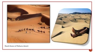 Sand dunes of Sahara desert
9
 