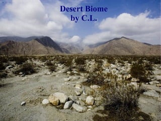 Desert Biome
by C.L.
 