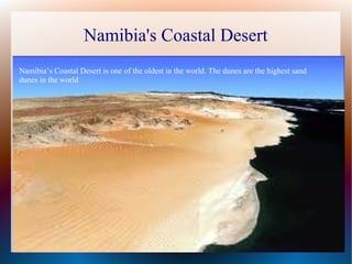 Namibia's Coastal Desert
Namibia’s Coastal Desert is one of the oldest in the world. The dunes are the highest sand
dunes in the world
 