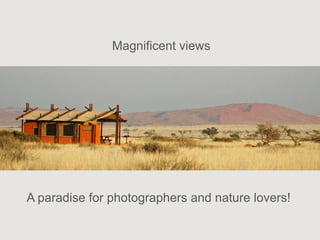 Magnificent views




A paradise for photographers and nature lovers!
 
