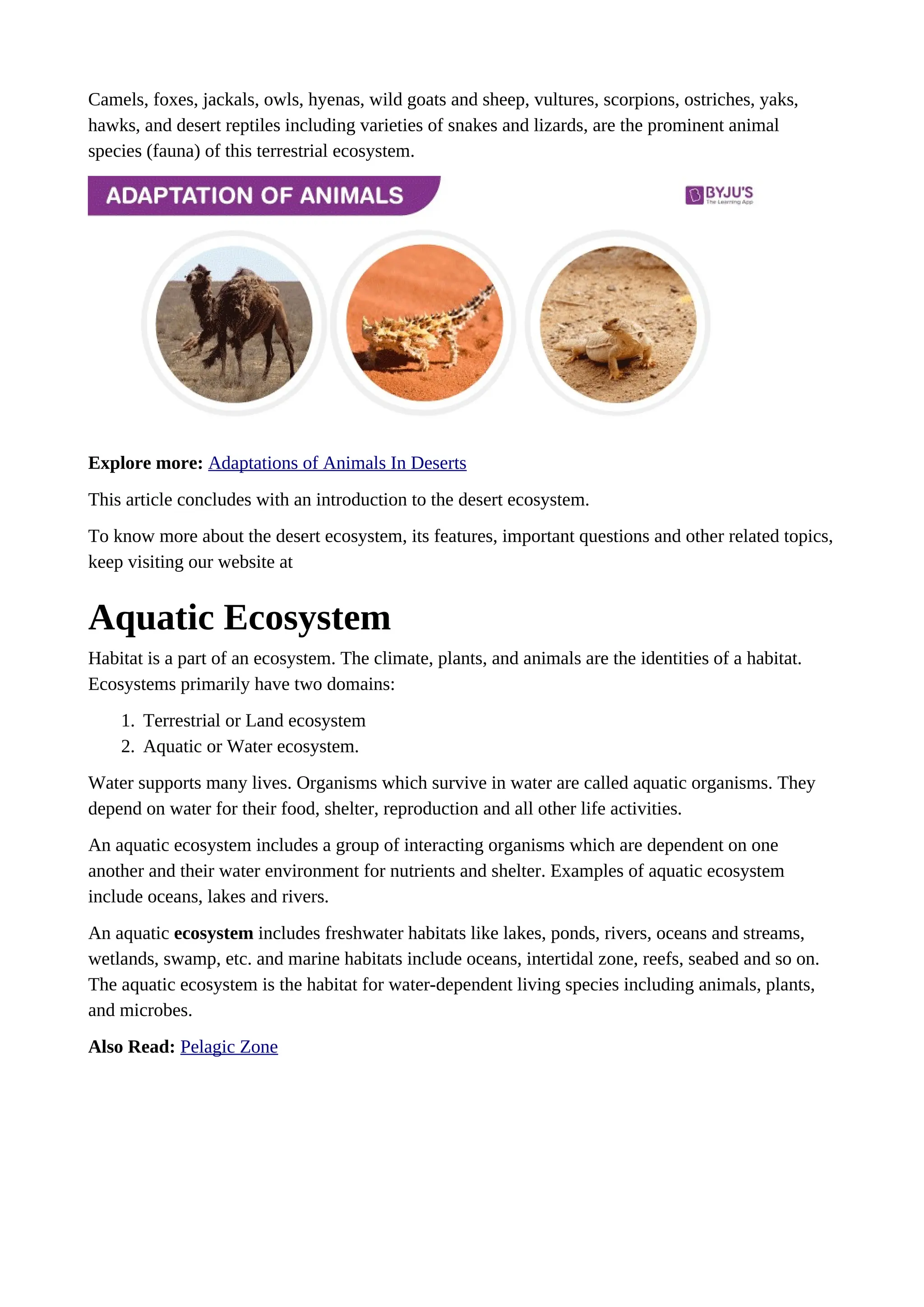 Camels, foxes, jackals, owls, hyenas, wild goats and sheep, vultures, scorpions, ostriches, yaks,
hawks, and desert reptiles including varieties of snakes and lizards, are the prominent animal
species (fauna) of this terrestrial ecosystem.
Explore more: Adaptations of Animals In Deserts
This article concludes with an introduction to the desert ecosystem.
To know more about the desert ecosystem, its features, important questions and other related topics,
keep visiting our website at
Aquatic Ecosystem
Habitat is a part of an ecosystem. The climate, plants, and animals are the identities of a habitat.
Ecosystems primarily have two domains:
1. Terrestrial or Land ecosystem
2. Aquatic or Water ecosystem.
Water supports many lives. Organisms which survive in water are called aquatic organisms. They
depend on water for their food, shelter, reproduction and all other life activities.
An aquatic ecosystem includes a group of interacting organisms which are dependent on one
another and their water environment for nutrients and shelter. Examples of aquatic ecosystem
include oceans, lakes and rivers.
An aquatic ecosystem includes freshwater habitats like lakes, ponds, rivers, oceans and streams,
wetlands, swamp, etc. and marine habitats include oceans, intertidal zone, reefs, seabed and so on.
The aquatic ecosystem is the habitat for water-dependent living species including animals, plants,
and microbes.
Also Read: Pelagic Zone
 