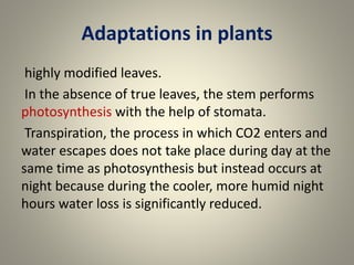 Adaptations in plants
highly modified leaves.
In the absence of true leaves, the stem performs
photosynthesis with the help of stomata.
Transpiration, the process in which CO2 enters and
water escapes does not take place during day at the
same time as photosynthesis but instead occurs at
night because during the cooler, more humid night
hours water loss is significantly reduced.
 