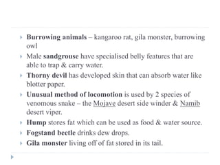  Burrowing animals – kangaroo rat, gila monster, burrowing
owl
 Male sandgrouse have specialised belly features that are
able to trap & carry water.
 Thorny devil has developed skin that can absorb water like
blotter paper.
 Unusual method of locomotion is used by 2 species of
venomous snake – the Mojave desert side winder & Namib
desert viper.
 Hump stores fat which can be used as food & water source.
 Fogstand beetle drinks dew drops.
 Gila monster living off of fat stored in its tail.
 