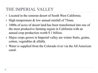 THE IMPERIAL VALLEY
 Located in the sonoran desert of South West California.
 High temperature & low annual rainfall of 75mm.
 1000s of acres of desert land has been transformed into one of
the most productive farming region in California with an
annual crop production worth $ 1 billion.
 Major crops grown in Imperial valley are winter fruits, grains,
cotton, vegetables & alfalfa.
 Water is supplied from the Colorado river via the All American
canal.
 