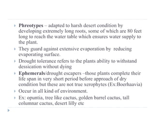  Phreotypes – adapted to harsh desert condition by
developing extremely long roots, some of which are 80 feet
long to reach the water table which ensures water supply to
the plant.
 They guard against extensive evaporation by reducing
evaporating surface.
 Drought tolerance refers to the plants ability to withstand
dessication without dying
 Ephemerals/drought escapers –those plants complete their
life span in very short period before approach of dry
condition but these are not true xerophytes (Ex:Boerhaavia)
 Occur in all kind of environment.
 Ex: opuntia, tree like cactus, golden barrel cactus, tall
columnar cactus, desert lilly etc
 