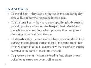 IN ANIMALS
 To avoid heat – they avoid being out in the sun during day
time & live in burrows to escape intense heat.
 To dissipate heat – they have developed long body parts to
provide greater surface area to dissipate heat. Most desert
animals are pale in colour which prevents their body from
absorbing more heat from the sun.
 To absorb water – desert animals have extra tubules in their
kidneys that help them extract most of the water from their
urine & return it to the bloodstream & the wastes are usually
secreted in the form of insoluble uric acid.
 To preserve water – water is stored in fatty tissue whose
oxidation releases energy as well as water.
 