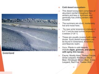 DESERT ECOSYSTEM AND ITS CHARACTERISTICS AND TYPES | PPTX
