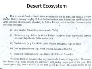 Desert Ecosystem
 