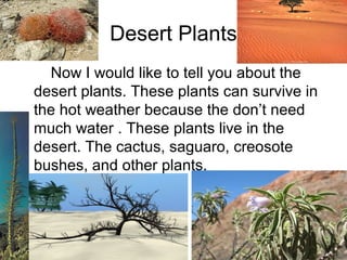 Desert Plants
Now I would like to tell you about the
desert plants. These plants can survive in
the hot weather because the don’t need
much water . These plants live in the
desert. The cactus, saguaro, creosote
bushes, and other plants.
