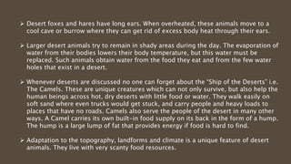  Desert foxes and hares have long ears. When overheated, these animals move to a
cool cave or burrow where they can get rid of excess body heat through their ears.
 Larger desert animals try to remain in shady areas during the day. The evaporation of
water from their bodies lowers their body temperature, but this water must be
replaced. Such animals obtain water from the food they eat and from the few water
holes that exist in a desert.
 Whenever deserts are discussed no one can forget about the “Ship of the Deserts” i.e.
The Camels. These are unique creatures which can not only survive, but also help the
human beings across hot, dry deserts with little food or water. They walk easily on
soft sand where even trucks would get stuck, and carry people and heavy loads to
places that have no roads. Camels also serve the people of the desert in many other
ways. A Camel carries its own built-in food supply on its back in the form of a hump.
The hump is a large lump of fat that provides energy if food is hard to find.
 Adaptation to the topography, landforms and climate is a unique feature of desert
animals. They live with very scanty food resources.
 