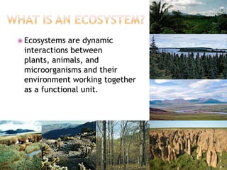  Ecosystems are dynamic
 interactions between
 plants, animals, and
 microorganisms and their
 environment working together
 as a functional unit.
 