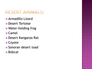 Armadillo Lizard
 Desert Tortoise
 Water-holding frog
 Camel
 Desert Kangaroo Rat
 Coyote
 Sonoran desert toad
 Bobcat
 