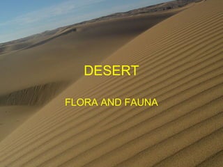 DESERT
FLORA AND FAUNA

 