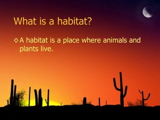 What is a habitat? A habitat is a place where animals and plants live. 
