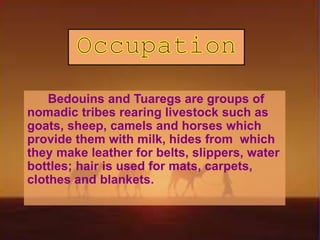 Bedouins and Tuaregs are groups of
nomadic tribes rearing livestock such as
goats, sheep, camels and horses which
provide them with milk, hides from which
they make leather for belts, slippers, water
bottles; hair is used for mats, carpets,
clothes and blankets.
 