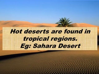 Hot deserts are found in
tropical regions.
Eg: Sahara Desert
 