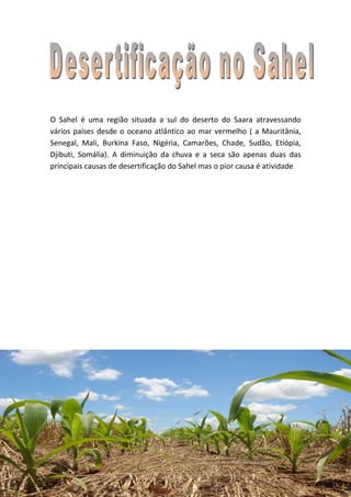 O Sahel é uma região situada a sul do deserto do Saara atravessando
vários países desde o oceano atlântico ao mar vermelho ( a Mauritânia,
Senegal, Mali, Burkina Faso, Nigéria, Camarões, Chade, Sudão, Etiópia,
Djibuti, Somália). A diminuição da chuva e a seca são apenas duas das
principais causas de desertificação do Sahel mas o pior causa é atividade
 