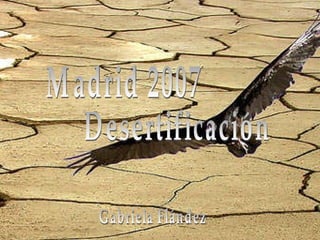Madrid 2007 Desertificación Gabriela Flández 