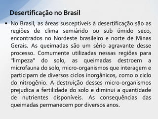 • No Brasil, as áreas susceptíveis à desertificação são as
regiões de clima semiárido ou sub úmido seco,
encontrados no Nordeste brasileiro e norte de Minas
Gerais. As queimadas são um sério agravante desse
processo. Comumente utilizadas nessas regiões para
"limpeza" do solo, as queimadas destroem a
microfauna do solo, micro-organismos que interagem e
participam de diversos ciclos inorgânicos, como o ciclo
do nitrogênio. A destruição desses micro-organismos
prejudica a fertilidade do solo e diminui a quantidade
de nutrientes disponíveis. As consequências das
queimadas permanecem por diversos anos.
Desertificação no Brasil
 