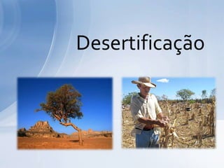 Desertificação
 