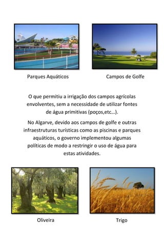 Parques Aquáticos                   Campos de Golfe


  O que permitiu a irrigação dos campos agrícolas
 envolventes, sem a necessidade de utilizar fontes
         de água primitivas (poços,etc…).
  No Algarve, devido aos campos de golfe e outras
infraestruturas turísticas como as piscinas e parques
     aquáticos, o governo implementou algumas
  políticas de modo a restringir o uso de água para
                   estas atividades.




                                                     9
      Oliveira                           Trigo
 
