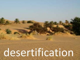 desertification 