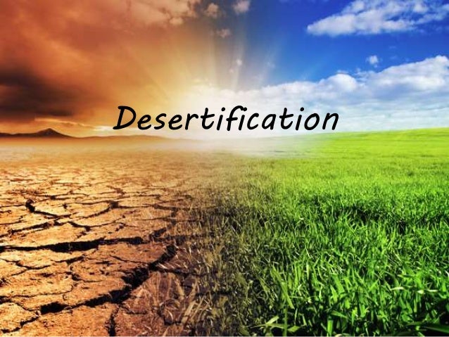 desertification