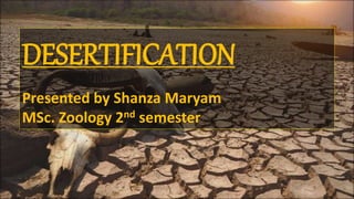 DESERTIFICATION
Presented by Shanza Maryam
MSc. Zoology 2nd semester
 