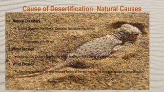 • Destruction of Vegetation
• Soil infertility
• Increased soil erosion
• Increased vulnerability to natural disasters
• L...