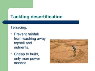 desertification-ppt