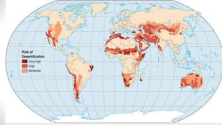 Desertification Stats