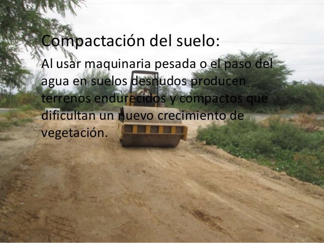 Desertización del mundo y causas.