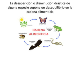 La desaparición o disminución drástica de
alguna especie supone un desequilibrio en la
cadena alimenticia
 