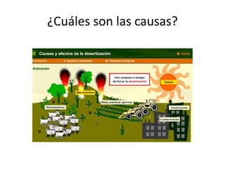 ¿Cuáles son las causas?
 