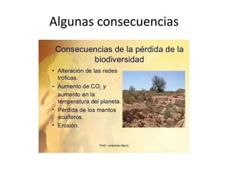 Algunas consecuencias
 